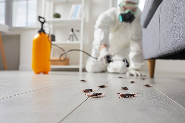 Commercial Kitchen Cockroach Control in Star